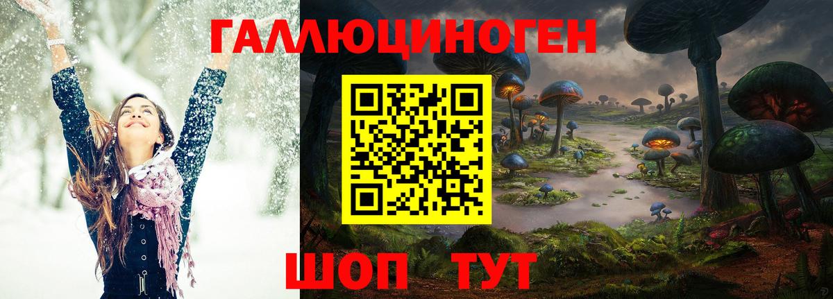 Галлюциногенные грибы MAGIC MUSHROOMS  наркотики  Дербент  Вход с VPN 
